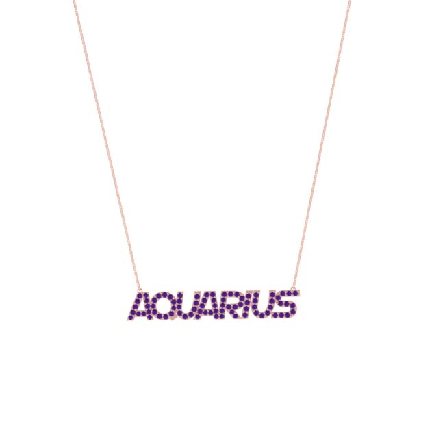 Aquarius Zodiac Name Necklace with February Birthstone Amethyst