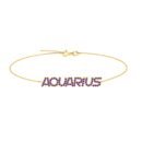 Aquarius Zodiac Name Bracelet with February Birthstone Amethyst