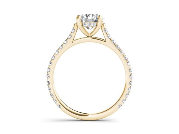 Enchanted Elegance