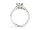 Glamorous Adornments