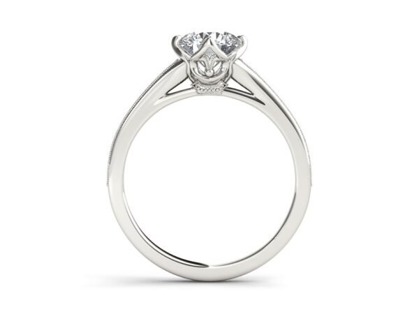 Glamorous Adornments