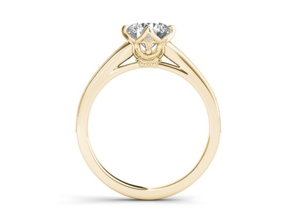 Glamorous Adornments