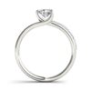 Harmony in Brilliance