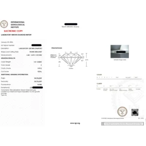 1.00 CT Round Lab Diamond Men’s Bezel Ring in 14K Yellow Gold (E/VVS2, IGI Certified)