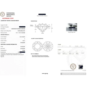 Oval Cut Lab Grown Diamond Ring 14K Yellow Gold Dubai – 3.30CT IGI E VVS2