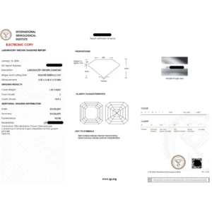 1.80 Ct Asscher Cut Lab Diamond Ring Dubai – IGI E VVS2 CVD Engagement Ring in 14K Gold (Pavé 1.80 CTW)